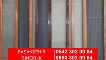 Başakşehir Sineklik