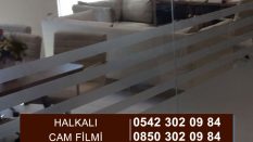 Halkalı Cam Filmi
