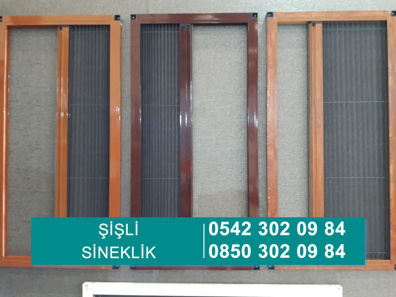 Şişli Sineklik