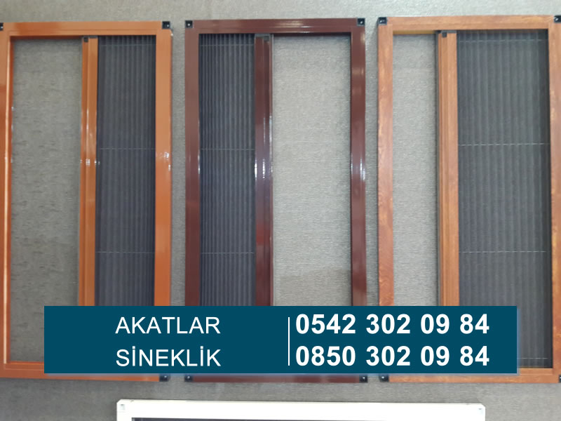 Akatlar Sineklik