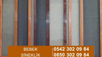Bebek Sineklik