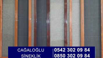 Cağaloğlu Sineklik
