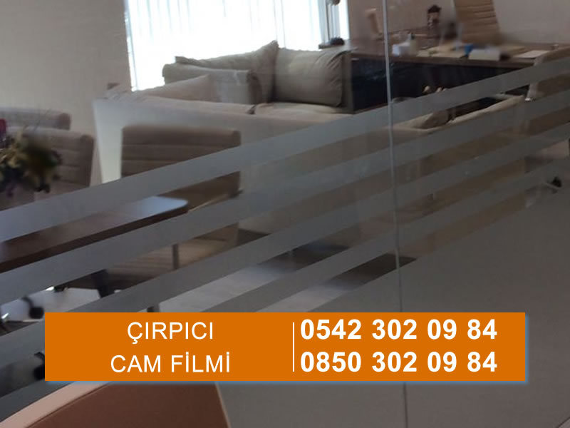 Çırpıcı Cam Filmi