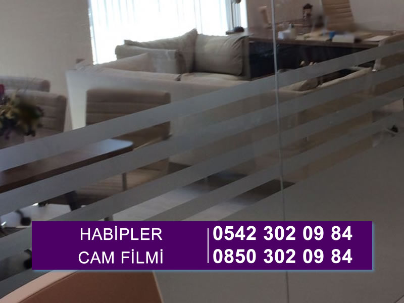 Habipler Cam Filmi