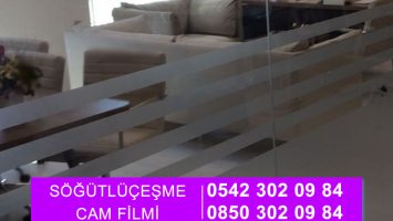 Söğütlüçeşme Cam Filmi