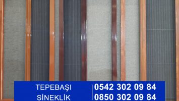 Tepebaşı Sineklik